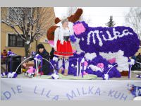 Zillingdorfer Faschingsumzug, 12.02.2013