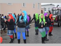 Zillingdorfer Faschingsumzug, 12.02.2013