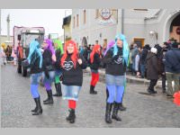 Zillingdorfer Faschingsumzug, 12.02.2013