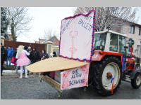 Zillingdorfer Faschingsumzug, 12.02.2013