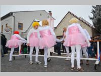 Zillingdorfer Faschingsumzug, 12.02.2013
