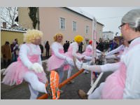 Zillingdorfer Faschingsumzug, 12.02.2013