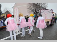 Zillingdorfer Faschingsumzug, 12.02.2013