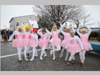 Zillingdorfer Faschingsumzug, 12.02.2013