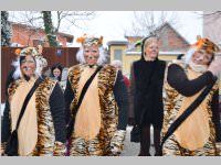 Zillingdorfer Faschingsumzug, 12.02.2013