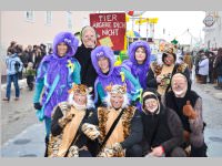 Zillingdorfer Faschingsumzug, 12.02.2013