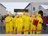 Zillingdorfer Faschingsumzug, 12.02.2013