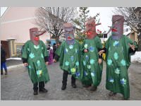 Zillingdorfer Faschingsumzug, 12.02.2013