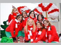 Zillingdorfer Faschingsumzug, 12.02.2013