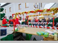 Zillingdorfer Faschingsumzug, 12.02.2013