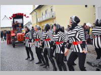 Zillingdorfer Faschingsumzug, 12.02.2013