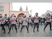 Zillingdorfer Faschingsumzug, 12.02.2013