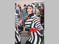 Zillingdorfer Faschingsumzug, 12.02.2013