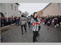 Zillingdorfer Faschingsumzug, 12.02.2013
