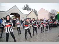 Zillingdorfer Faschingsumzug, 12.02.2013