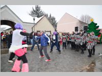 Zillingdorfer Faschingsumzug, 12.02.2013