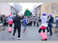 Zillingdorfer Faschingsumzug, 12.02.2013