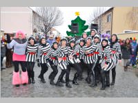 Zillingdorfer Faschingsumzug, 12.02.2013