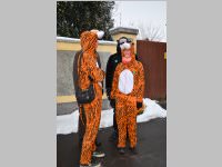 Zillingdorfer Faschingsumzug, 12.02.2013