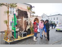 Zillingdorfer Faschingsumzug, 12.02.2013