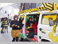 Zillingdorfer Faschingsumzug, 12.02.2013