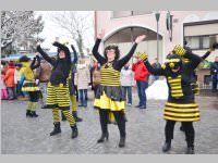 Zillingdorfer Faschingsumzug, 12.02.2013