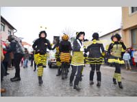 Zillingdorfer Faschingsumzug, 12.02.2013