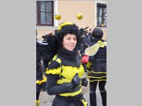 Zillingdorfer Faschingsumzug, 12.02.2013