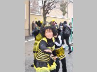Zillingdorfer Faschingsumzug, 12.02.2013