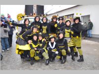 Zillingdorfer Faschingsumzug, 12.02.2013