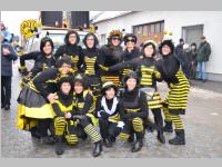 Zillingdorfer Faschingsumzug, 12.02.2013
