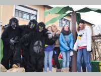 Zillingdorfer Faschingsumzug, 12.02.2013