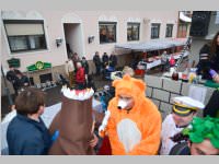 Zillingdorfer Faschingsumzug, 12.02.2013