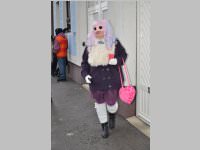 Zillingdorfer Faschingsumzug, 12.02.2013