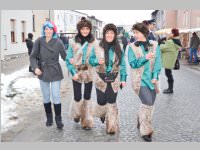 Zillingdorfer Faschingsumzug, 12.02.2013