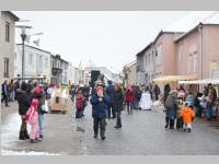 Zillingdorfer Faschingsumzug, 12.02.2013