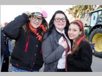 Zillingdorfer Faschingsumzug, 17.02.2015