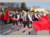 Zillingdorfer Faschingsumzug, 17.02.2015