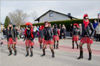 Zillingdorfer Faschingsumzug, 09.02.2016