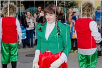 Zillingdorfer Faschingsumzug, 09.02.2016
