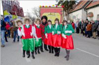 Zillingdorfer Faschingsumzug, 09.02.2016