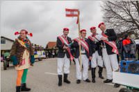 Zillingdorfer Faschingsumzug, 13.02.2018
