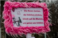 Zillingdorfer Faschingsumzug, 13.02.2018