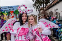 Zillingdorfer Faschingsumzug, 13.02.2018