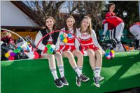Zillingdorfer Faschingsumzug, 05.03.2019