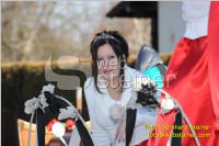 Zillingdorfer Faschingsumzug, 21.02.2012