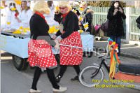 Zillingdorfer Faschingsumzug, 21.02.2012