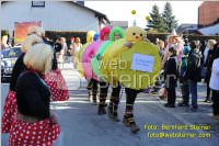 Zillingdorfer Faschingsumzug, 21.02.2012