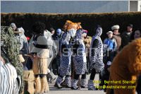 Zillingdorfer Faschingsumzug, 21.02.2012