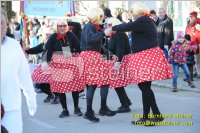 Zillingdorfer Faschingsumzug, 21.02.2012